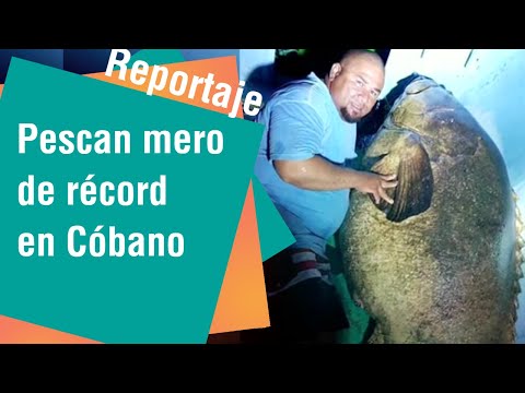 Pescan mero de récord en Cóbano