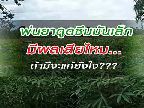 #พ่นยาดูดซึมมันเล็กมีผลเสียไหม #พ่นยาดูดซึมมันเล็กมีผลเสียไหม