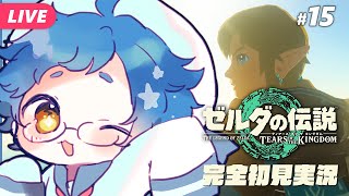 【🔵#ゼルダの伝説 ティアーズ オブ ザ キングダム #15】砂塵に埋もれたゲルドの街を救うのだ！Switch 2 Editionです【夜更