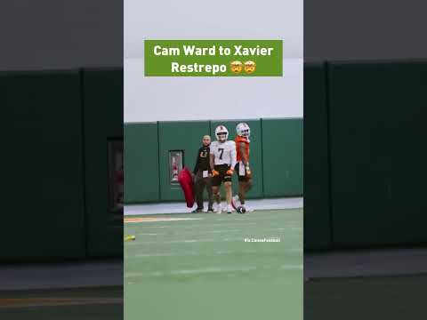 Go and get it‼️ #Shorts #Reels #Football #Tennessee #Titans #NFL #Miami #Florida #Slot #WR #Sports