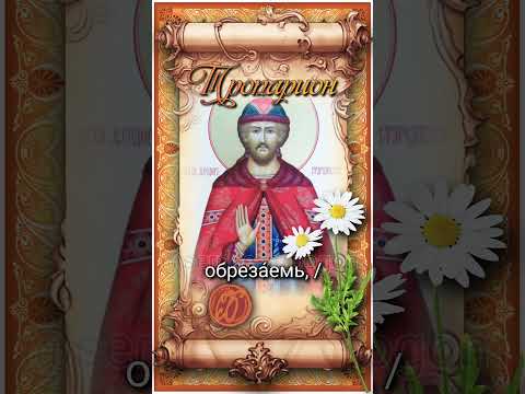 4 июля Блгв. князь Феодор Стародубский (1330г)