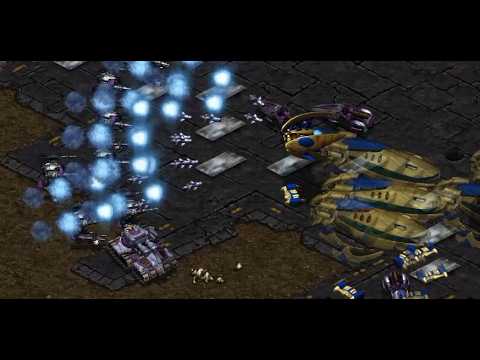 Nexus First on ECLIPSE? Rain! 🇰🇷 (P) vs Rush! 🇰🇷 (T)! - StarCraft - Brood War - 2026