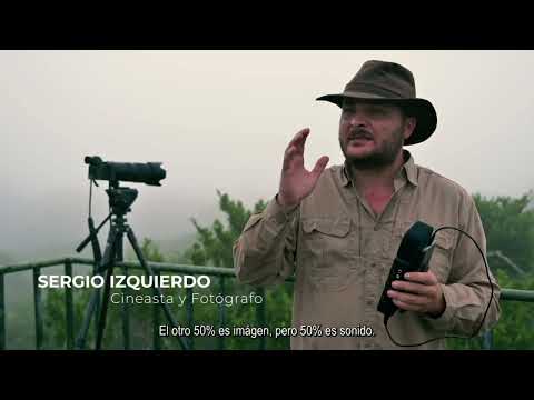 iRig Pro Quattro I/O - Mobile Recording in the Jungle