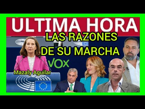 Mazaly Aguilar - LAS RAZONES DE SU ROPTURA TOTAL CON VOX