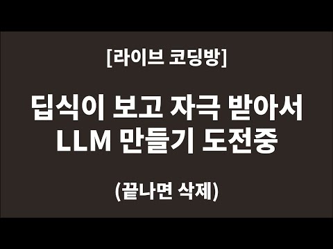 [코딩 라이브] LLM 하루만에 만들기 도전! (종료 후 삭제)