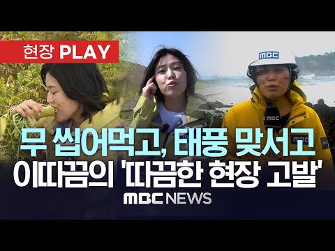 제주MBC 이따끔 기자의 '따끔한 현장 고발' 리포트 모음 - [현장PLAY] MBC뉴스 2023년 05월 13일