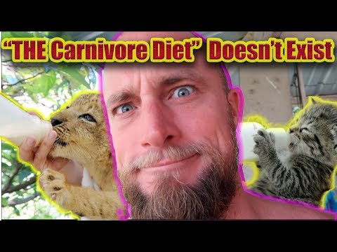 THE CARNIVORE DIET DOESN