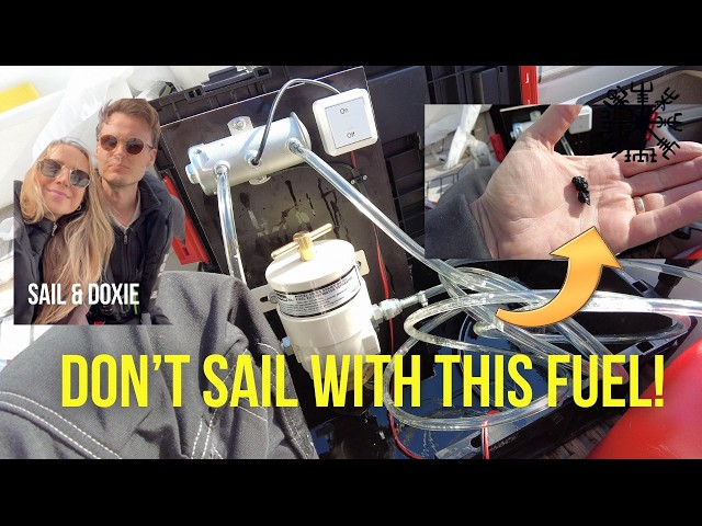 Before Sail & Doxie set sail towards the Mediterranean, we teamed up to tackle a crucial task—cleaning out their diesel tank and polishing the fuel using our DIY fuel polishing system. Dirty fuel and sludge buildup can be a nightmare at sea, but with a little ingenuity (and a few hours of work), their tank is now spotless, the fuel is clean, and the engine is ready for the journey ahead.

In this episode, we show you how we built and used a simple but effective diesel fuel polishing setup onboard. From filtering out the gunk to restoring fuel clarity, we walk through the whole process step by step.

With Sail & Doxie ready to head south, and our own boat prepped and polished, we’re officially kicking off the sailing season. Let’s get cruising!

⛵️ Welcome aboard Bushpoint Sailing! Hi from Jeanette & Fredrik 🇸🇪! We’re the couple behind Bushpoint, sailing our boat, just the two of us on small and big adventures! Join us as we explore remote coastlines, wild anchorages, and beautiful sailing routes through northern Europe and beyond. In the summer of 2022 we sailed all the way to 80 degrees North, to Svalbard!

👉 In 2025, we’ll sail from the Baltic Sea and journey westward and the plan is to sail through Sweden, Denmark, Norway, the Shetland Islands, Orkney, and Scotland — a voyage full of rugged coastlines, sailing challenges, and unforgettable stories.

📺 Missed our Svalbard Sailing? Watch the full Svalbard sailing series: https://www.youtube.com/playlist?list=PLOsLm3f2dMpgjqAt4cOrnQCK1MaQc4AVA 📸 

🚁 As always, we’ve got drone footage, honest onboard life, and our usual dose of low-key humor. Join us aboard Bushpoint! We might not have the best film quality, but it is authentic. Make sure you subscribe to come along - https://www.youtube.com/channel/UC1PygngPEybzOdL3IHKnedg?sub_confirmation=1 

Follow our real-time updates on: https://www.instagram.com/bushpointsailing/ 
🌐 More about us: https://bushpoint.se/ 
👍 Facebook: https://www.facebook.com/SailingBushpoint

#Boatlife #Liveaboard #FuelPolishing #SailingSeason #SailAndDoxie
00:00 Introduction
00:58 Why Fuel Polish?
01:11 Building the DIY Setup
06:25 Cleaning the tank
08:00 Look! We found Sh*t
09:56 Time to clean your diesel tanks, people
10:58 Polishing the fuel
11:29 Some thoughts