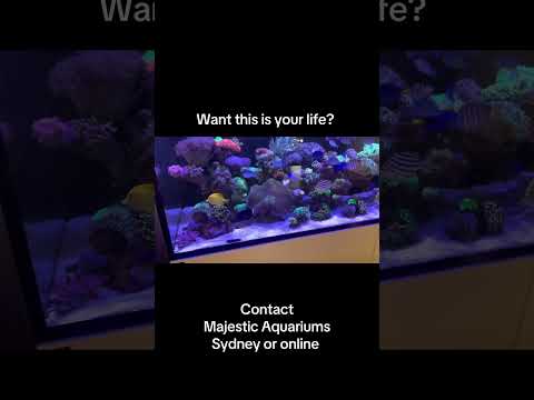 #aquarium #fishtank #planetaquarium #fish