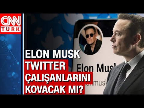 Gizli rapor ortaya çıktı… Duyan şoke oldu: İşte Elon Musk’ın Twitter planı!