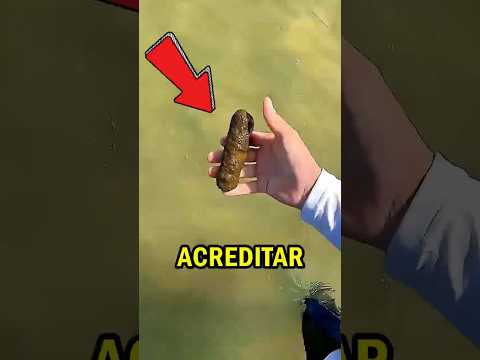 Essa SURPRESA Chocou o PESCADOR! 😨🎣🚫😱🚣🏻‍♀️  #curiosidades #viral #shorts