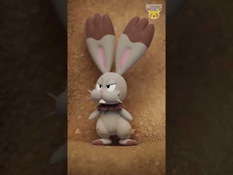 Pokémon Shorts - Animated Pokédex : Bunnelby - #PokemonFunVideo #PokemonKidsTV