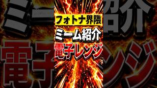 フォトナ界隈ミーム紹介:電子レンジ【フォートナイト】【フォトナ】【雑学】【チャプター1】【ブレインロット】【精霊】Switch勢