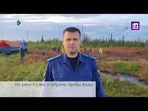 Из реки Колва отобраны пробы воды