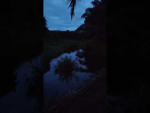 Mencari rezeki selepas musim kemarau