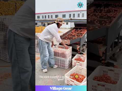 My Snack-Loving Heart Can't Handle This! 😂 I Want to Live in This Shrimp Paradise! #shrimp