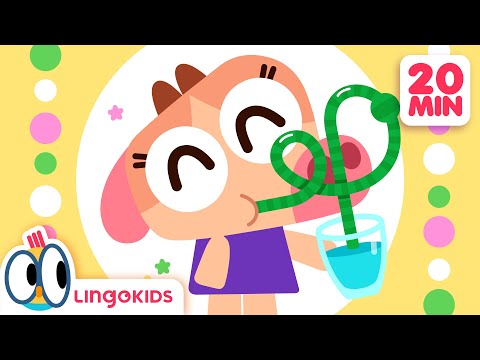 Learn about the WATER CYCLE 🌧️ | Fun Science Songs | Lingokids