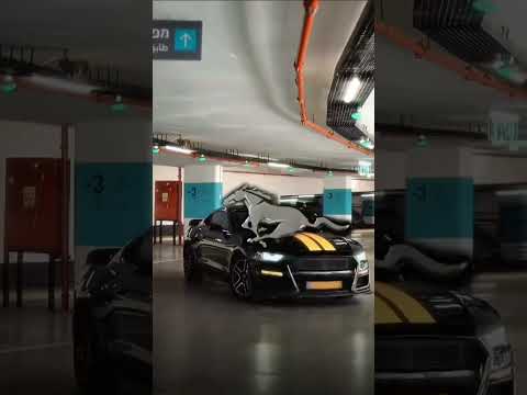 Editor X Trader .#trader#carguy #moneymindset#millionaire#lifestyle #edit#editingvideo #stockmarket