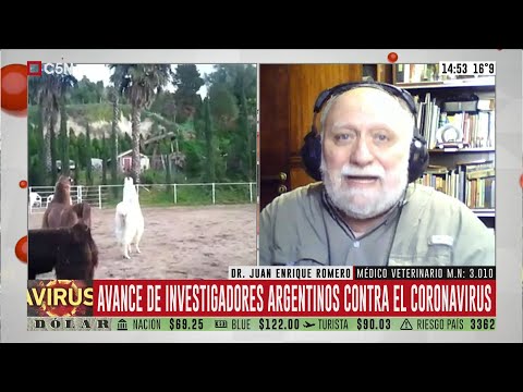 Avance de investigadores argentinos contra el coronavirus: habla Juan Enrique Romero