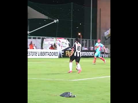 image para ilustrar o artigo