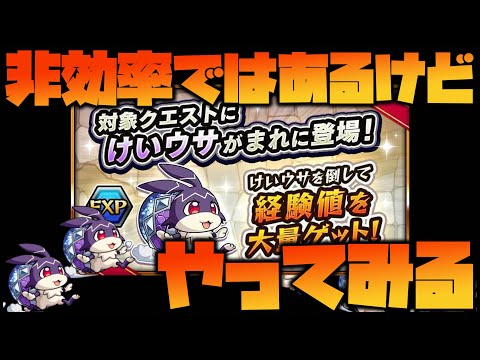 【モンスト】時給1000万！『けいウサ』でランク上げ【ぎこちゃん】