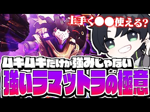ラマの盾ってどこに出すべき？その悩み、KSGがお答えします！【オーバーウォッチ2/OW2】