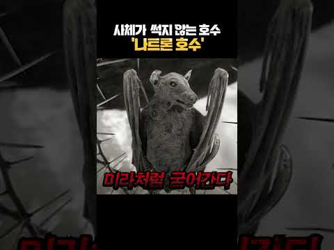 사체가 썩지 않는 나트론 <strong>호수</strong>