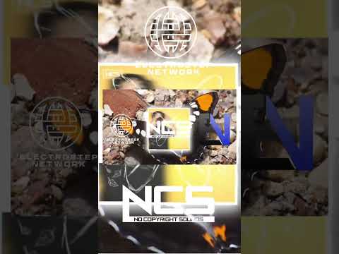 Oxlo - Anesthesia [Electrostep #Shorts] #ncsshorts #musicshorts