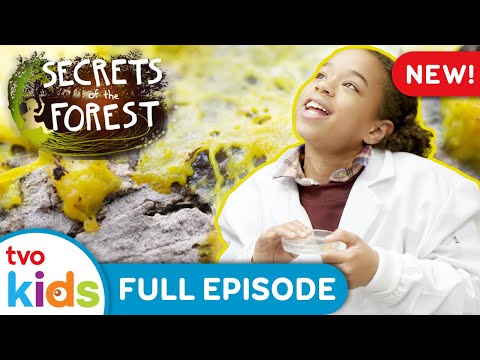 Smart Slime 🧪🔬 SECRETS OF THE FOREST - Season 1 Full Episode | TVOkids