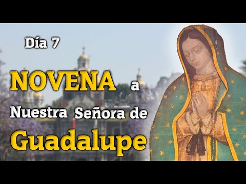 Día 7 de la Novena a Nuestra Señora de Guadalupe 2022