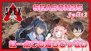 🌸APEX🎶SEASON25 Split2〖アウストラリウス〗 #0014 ✨【女性VTuber／綾瀬桜】〖毎日22時から配信中〗#APEX