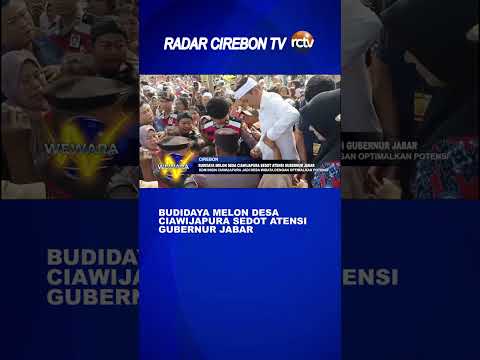Budidaya Melon Desa Ciawijapura Sedot Atensi Gubernur Jabar