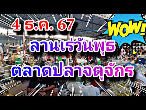 ลานเร่วันพุธตลาดปลาสวยงามจตุจ