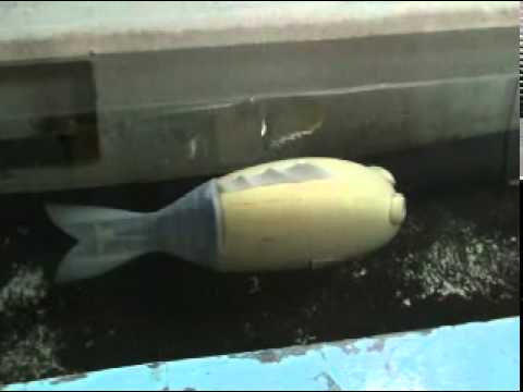 Robotic Fish by NTU UV Lab