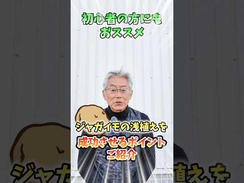 家庭菜園や農園のジャガイモ栽培で浅植え成功の秘訣！土寄せや収穫が楽になるジャガイモの育て方！【農家直伝】#shorts