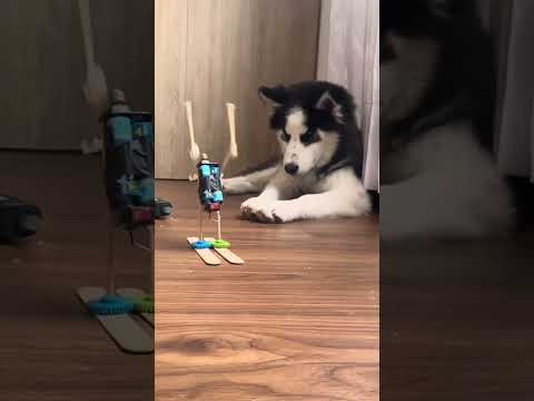 RUN! #robotics #ingenieria #engineering #roboticseducation #robotics #robot #education #hazlotumismo