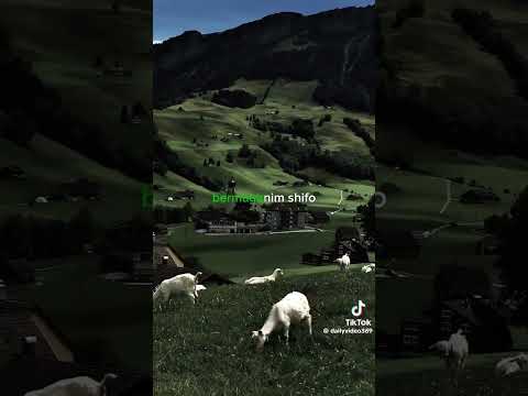 10 октября 2025 г.