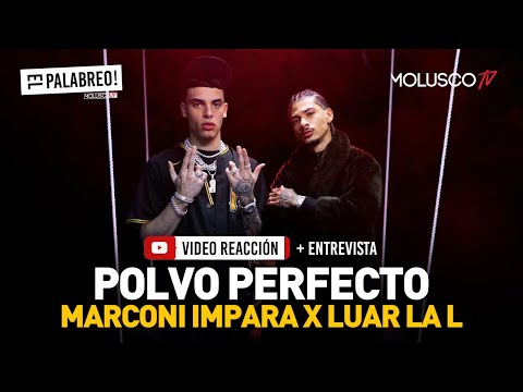 Luar La L y Marconi interrumpen Vídeo Reacción de “PolvoPerfecto” en #ElPalabreo ?