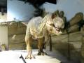 Animatronic Tyrannosaurus Rex in Drumheller