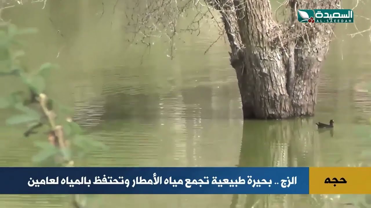 قناة السعيدة