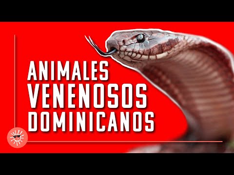 Animales venenosos en República Dominicana