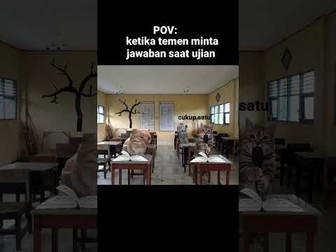 😹😹😹#cat #comedy #lucu #funny