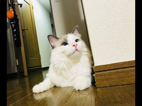 30分雑談