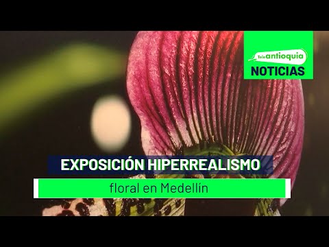 Exposición hiperrealismo floral en Medellín - Teleantioquia Noticias