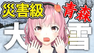 【緊急配信】青森市で災害級の大雪！何が起ぎてるんず？！【津軽弁VTuber】