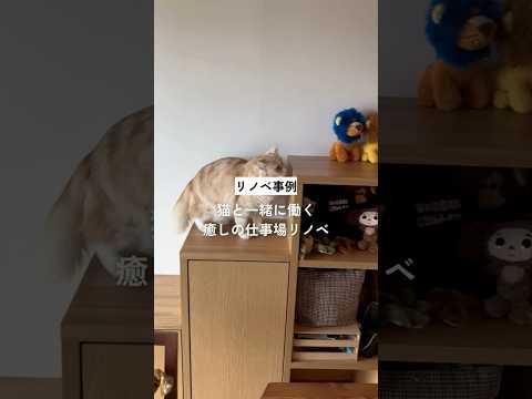 【リノベーション】猫と一緒に働く癒しの仕事場リノベ #shorts