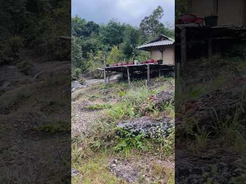 Túp lều như này đã đủ lý tưởng chưa mọi người!!! 😍😍#ngoclongtaybac #ngoclongtea #canhdeptaybac