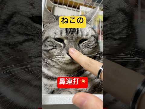 thumbnail_qFfrvWitMf0