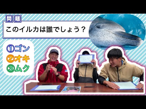 猫の動画サムネイル - 第2回個体識別クイズ🐬