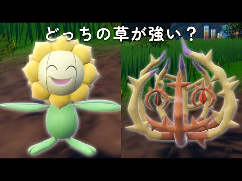 ランクマでまさかの『キマワリvsアノホラグサ』!? どっちの草が強いか決めようや【ポケモンSV】